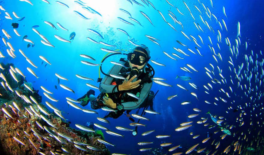 Scuba-diving-at-Fiji-Schoolies