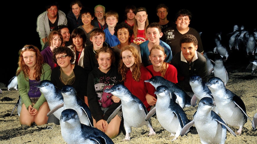 Meet-the-famous-penguins-min